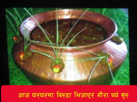 You are currently viewing आज घरघरमा बिरुडा भिजाएर गौरा पर्व सुरु
