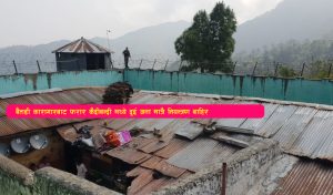 Read more about the article बैतडी कारागारबाट फरार कैदीबन्दी मध्ये दुई जना मात्रै नियन्त्रण बाहिर