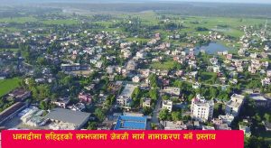 Read more about the article धनगढीमा सहिदहरूको सम्झनामा ‘जेनजी मार्ग’ नामाकरण गर्ने प्रस्ताव