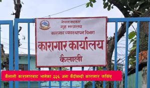 Read more about the article कैलाली कारागारबाट भागेका २२६ जना कैदीबन्दी कारागार फर्किए