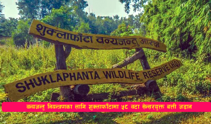 You are currently viewing वन्यजन्तु नियन्त्रणका लागि शुक्लाफाँटामा ५८ वटा सेन्सरयुक्त बत्ती जडान