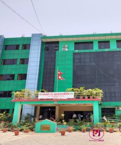 Read more about the article धनगढीमा सामुदायिक विद्यालयकाे कक्षा ८ को नतिजामा क्रमिक सुधार २०७९ मा ९ प्रतिशतबाट ०८२ मा ५० प्रतिशत विद्यार्थी उत्तीर्ण